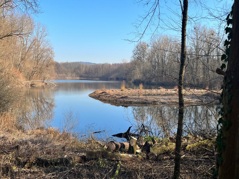 23-02-13 14-33-36 4228